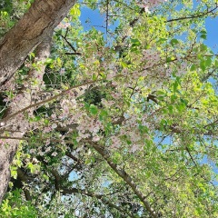 image1.jpeg
