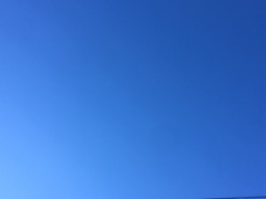 image1.jpeg